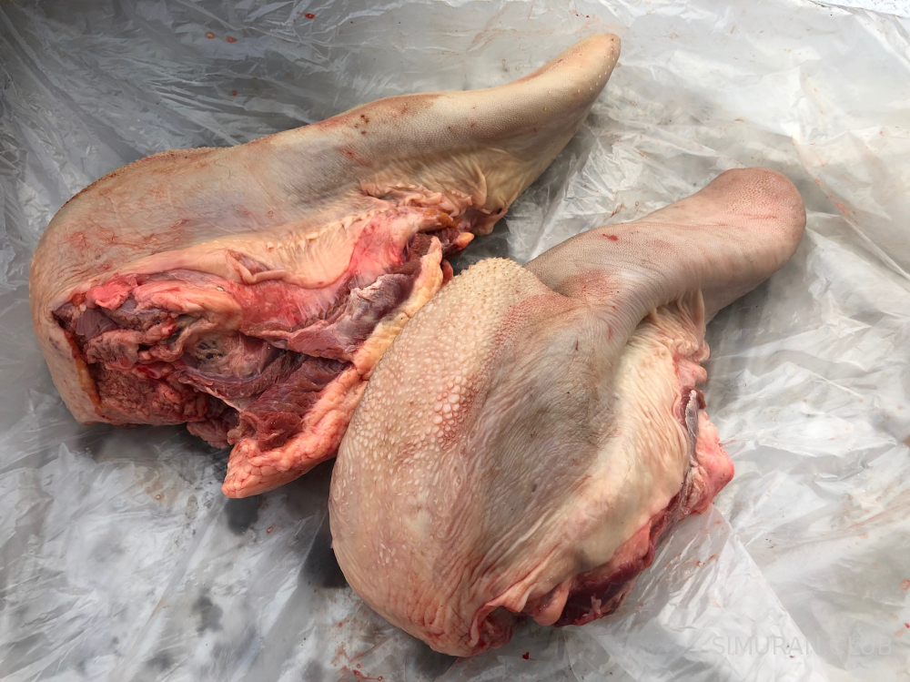 ���� �������, ������������, 1 ��