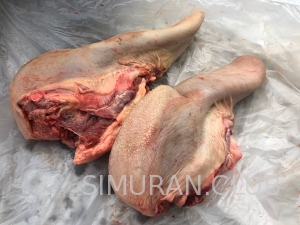 ���� �������, ������������, 1 ��