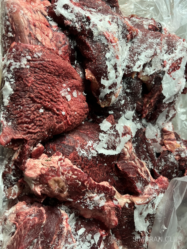 ���� ������ ����� �������, 1 ��