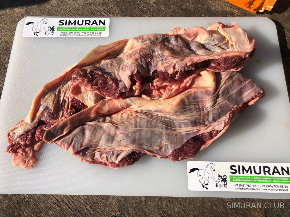 ��������� �������, ������������, ������������, 1 ��