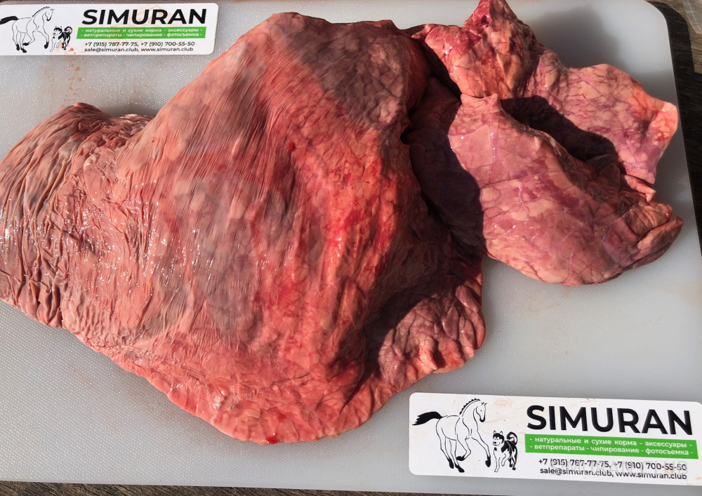 ������ �������, �����������������, 1 ��