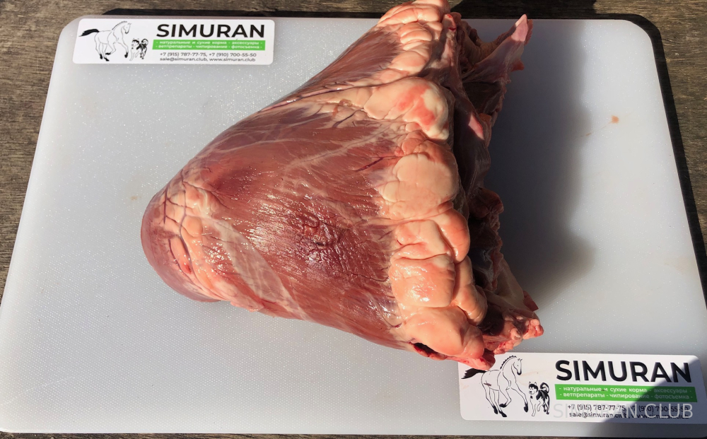 ������ �������, �����, �����������������, 1 ��