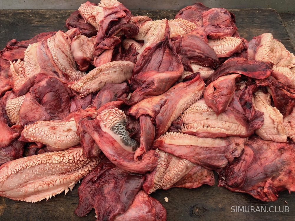 ���� �������, � ������, 