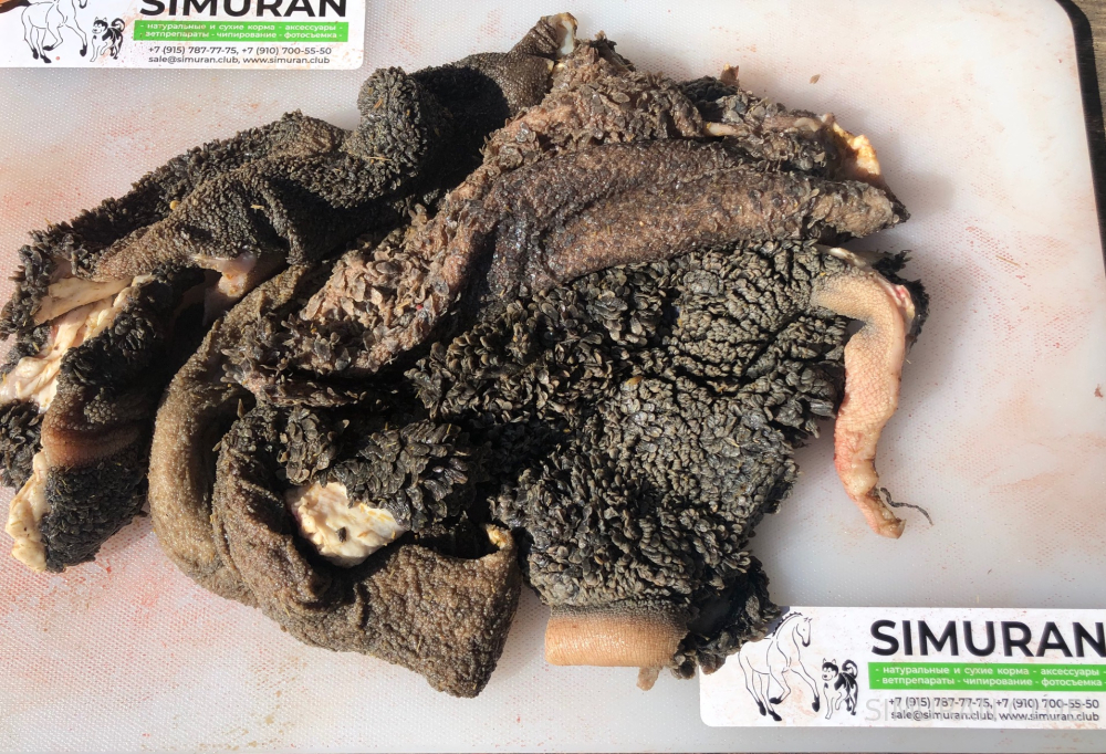 ����� �������, ������������, ����� �� 10 ��,  ���� �� 1 ��