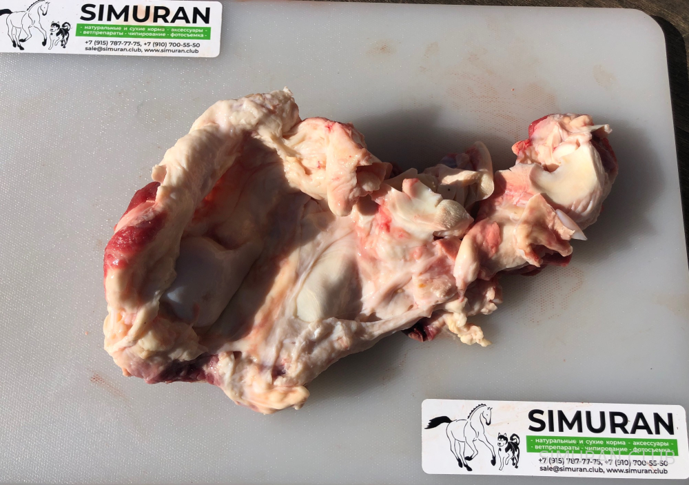 �������� ������ � �������, 1 ��