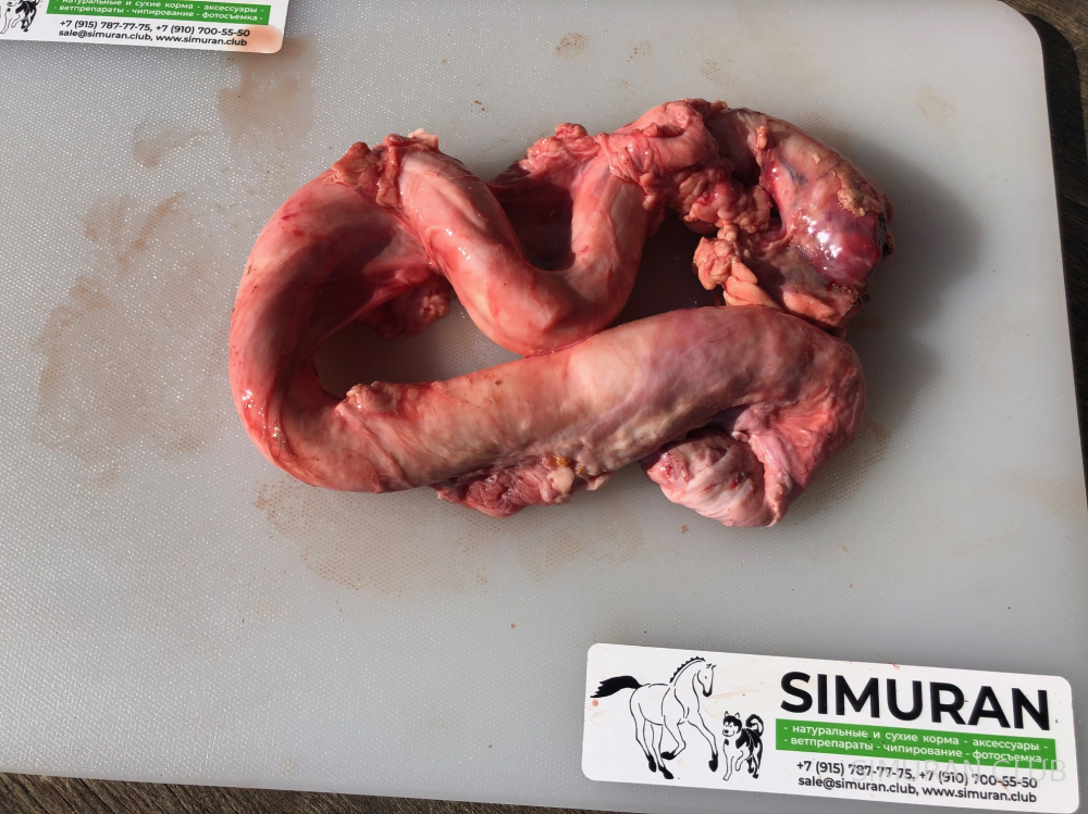 ������ �����, ������, ��� ����, ���� ��1 ��