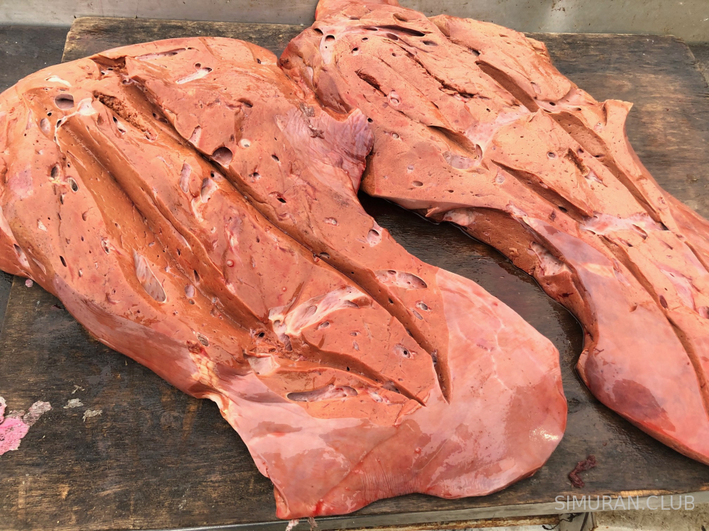 ������ �������, ��������, ���� �� 1 ��
(����������� ����� �� 2-3 ��)