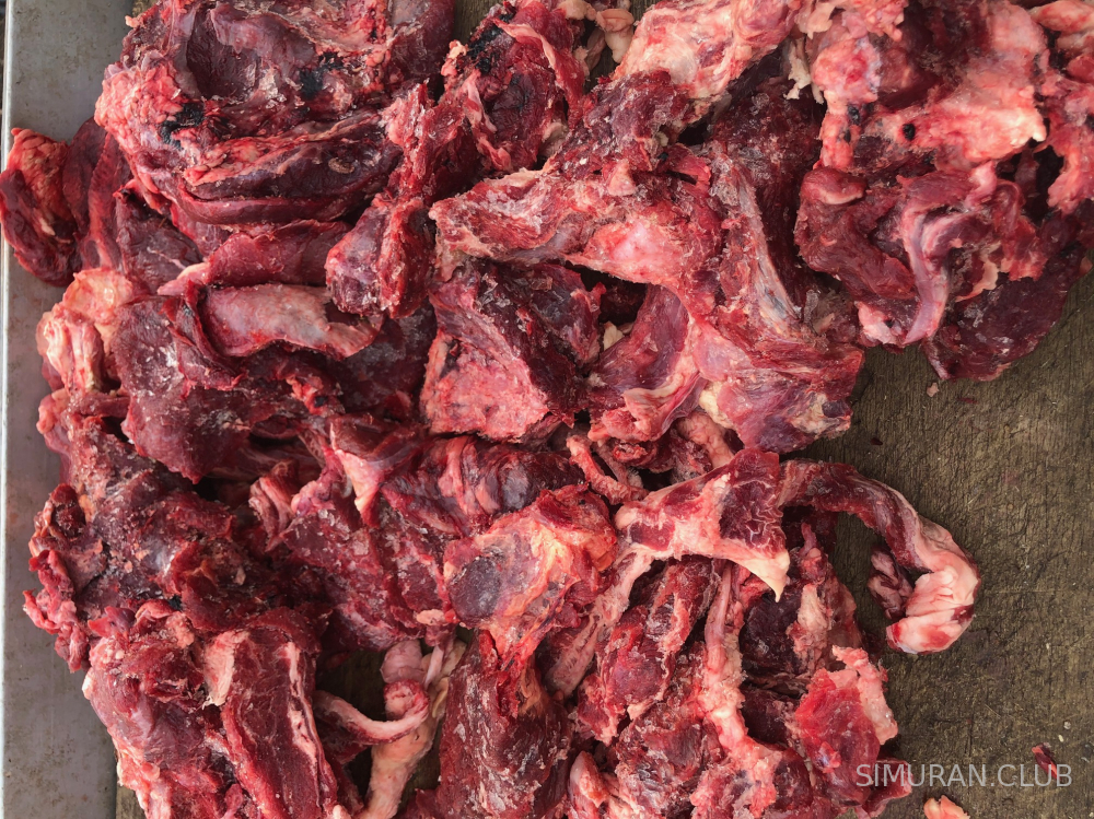 ���� ��������� � �����, 1 ��