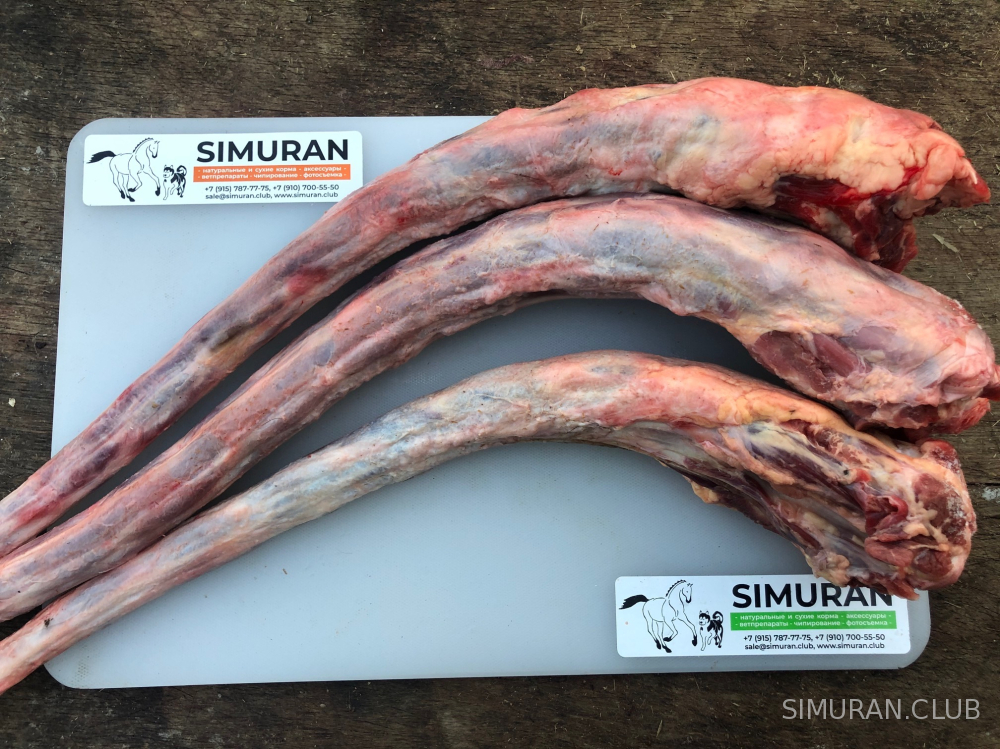 ����� �������, �����, 1 ��