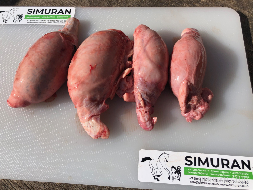 ��������� �����, �����������������, 1 ��