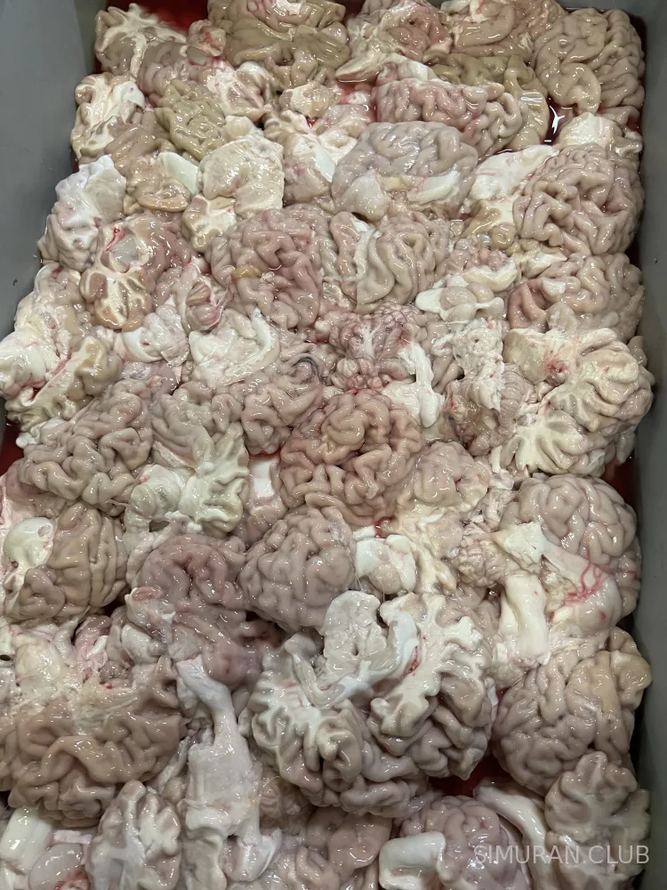 ����� �������, ������, 1��.