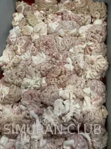 ����� �������, ������, 1��.