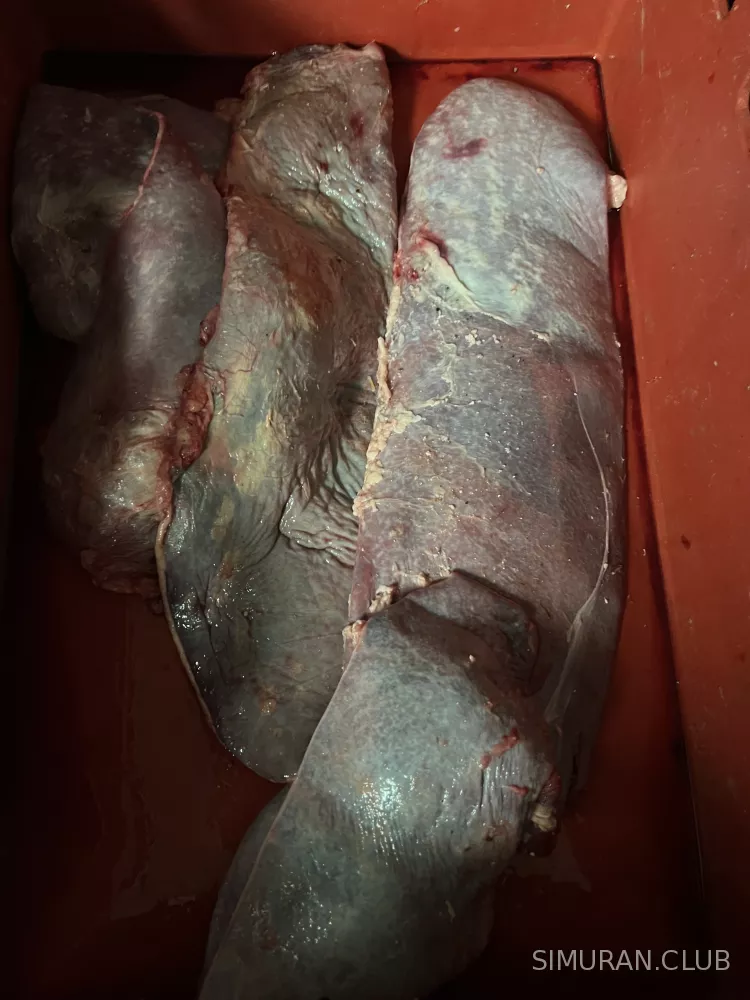 ��������� ������� ������, 1 ��