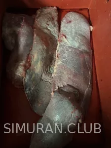 ��������� ������� ������, 1 ��